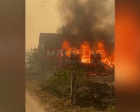 Крупный лесной пожар тушат сотрудники МЧС в ЛНР: кадры с места событий