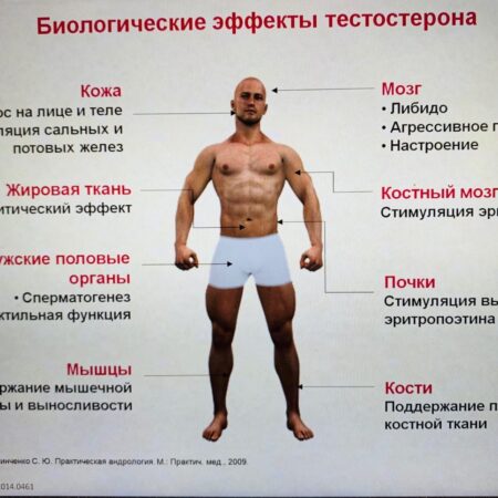 Коронавирус и мужское здоровье: выявлено снижение уровня тестостерона
