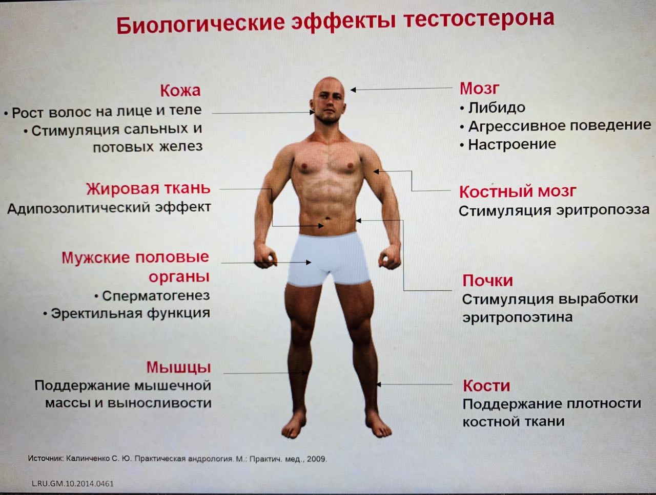 Preview Коронавирус и мужское здоровье: выявлено снижение уровня тестостерона