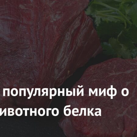 Развенчан миф о вреде животного белка: новые научные данные