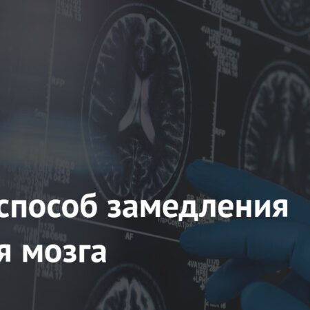 Ученые обнаружили способ замедлить старение мозга, влияя на белок FTL1