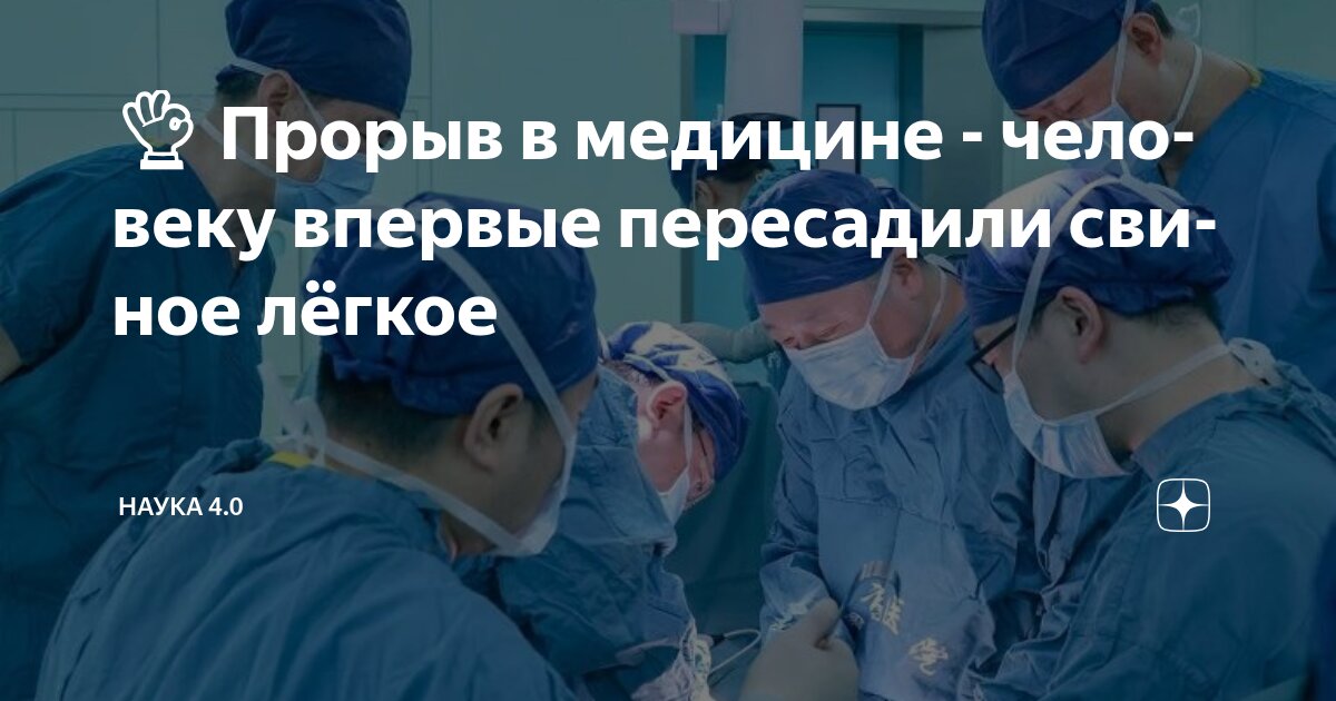 Preview Исторический прорыв: человеку впервые пересадили легкое свиньи