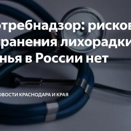 Роспотребнадзор: Угроза чикунгуньи в России отсутствует