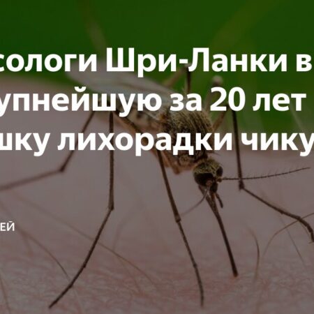 Важные предупреждения Роспотребнадзора: Чикунгунья из Шри-Ланки и всплеск розового лишая в Таиланде