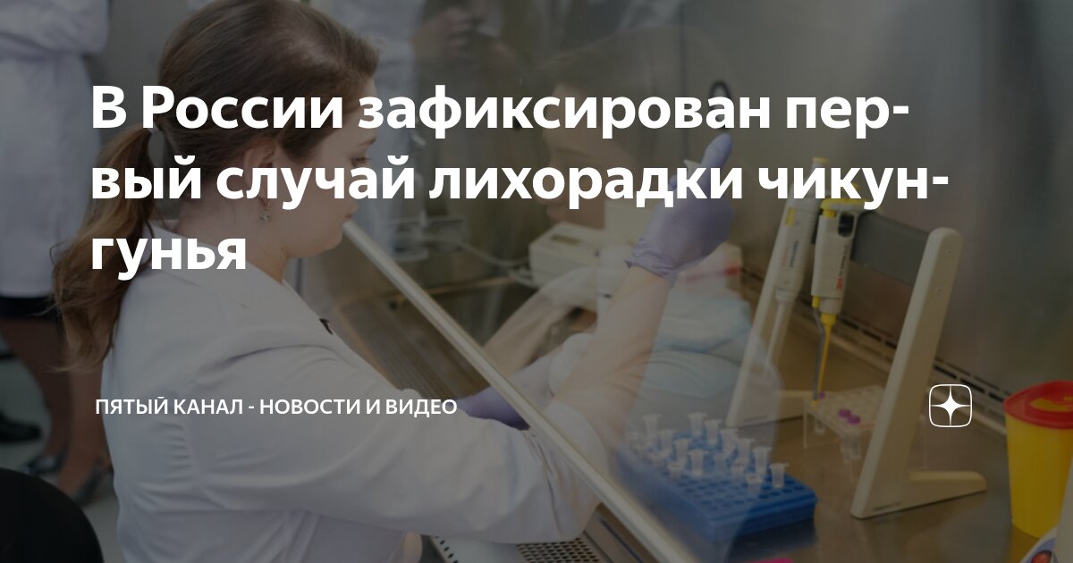 Preview Первый завозной случай лихорадки чикунгунья зафиксирован в России
