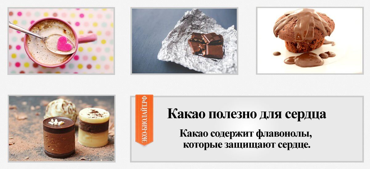 Preview Флаванолы какао: новая польза для сердечно-сосудистой системы