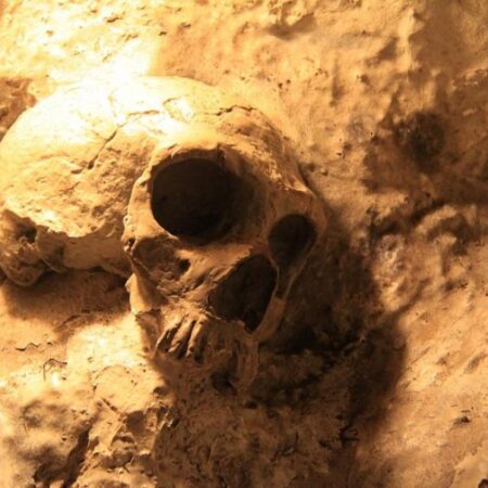 Тайна древнего черепа из Петралоны раскрыта: Homo heidelbergensis в Греции