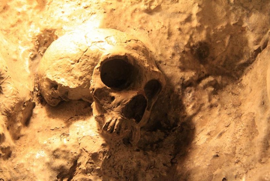 Preview Тайна древнего черепа из Петралоны раскрыта: Homo heidelbergensis в Греции