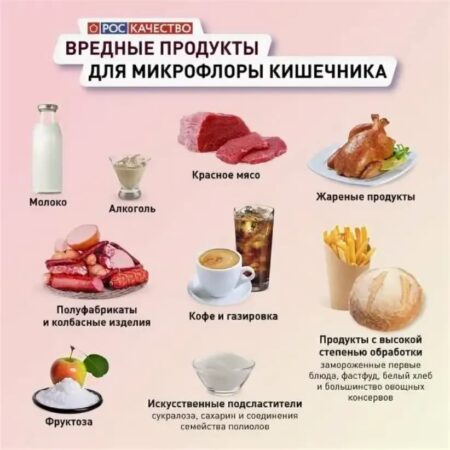 Как Молочные Продукты Влияют на Здоровье Кишечника: Результаты Новых Исследований