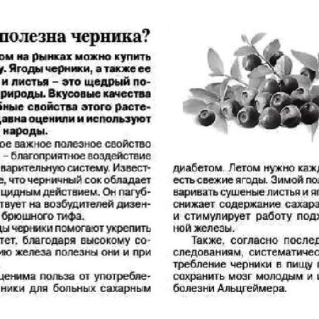 Неожиданная польза черники для иммунитета детей