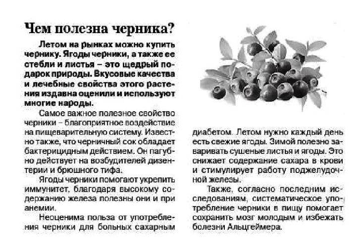 Preview Неожиданная польза черники для иммунитета детей