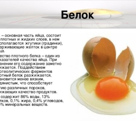 Развенчание мифа: яичный белок усваивается не полностью