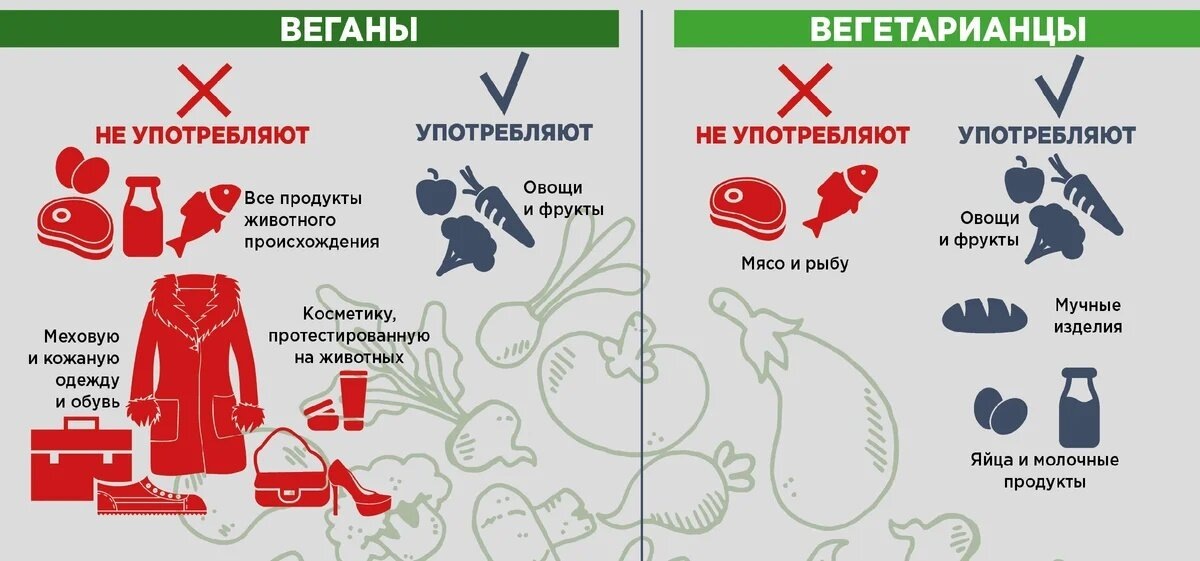 Preview Вегетарианство и профилактика рака: новые научные данные