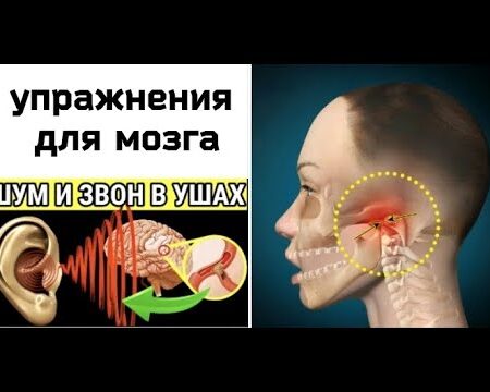 Хронический шум в ушах: тревожный сигнал для здоровья мозга