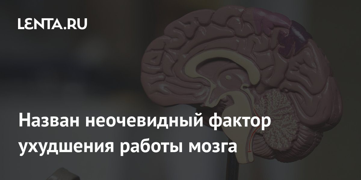 Preview Фастфуд назван неочевидной причиной ухудшения работы мозга