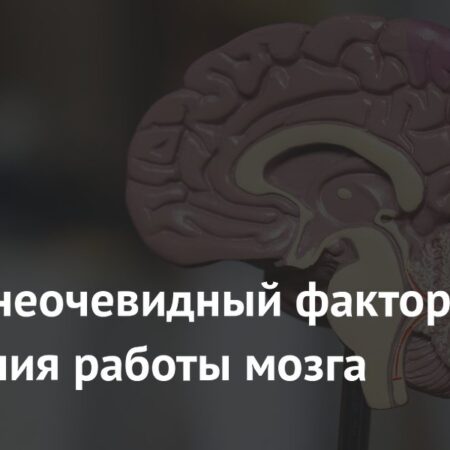 Неочевидный фактор ухудшения работы мозга: негативное влияние фастфуда