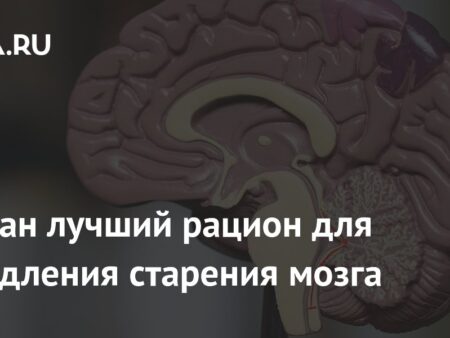 Лучший рацион для замедления старения мозга