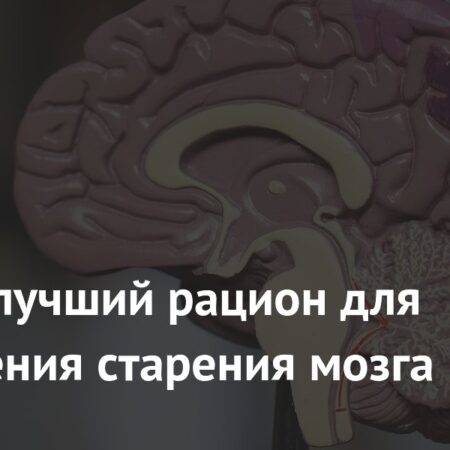 Лучший рацион для замедления старения мозга