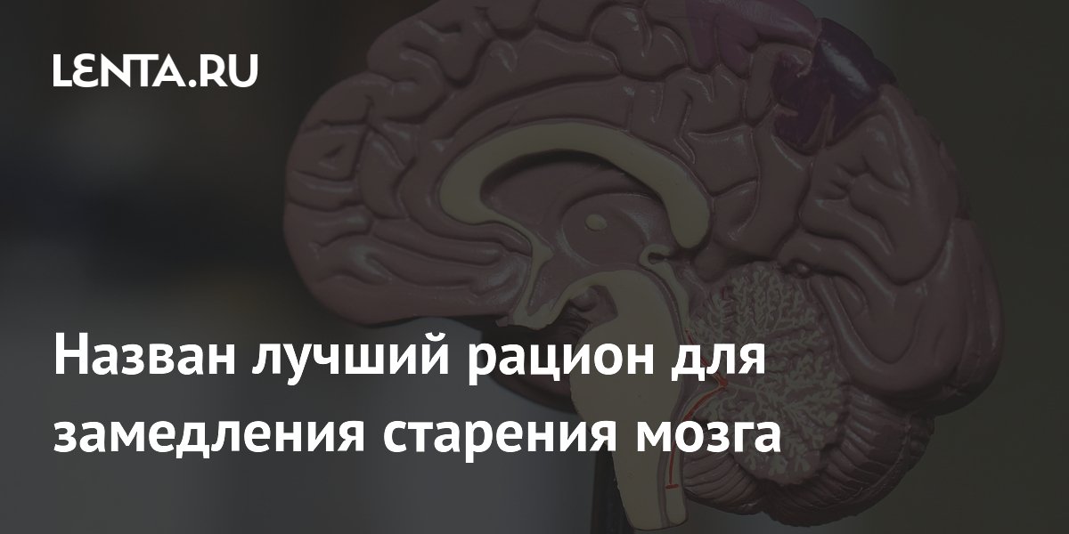 Preview Лучший рацион для замедления старения мозга