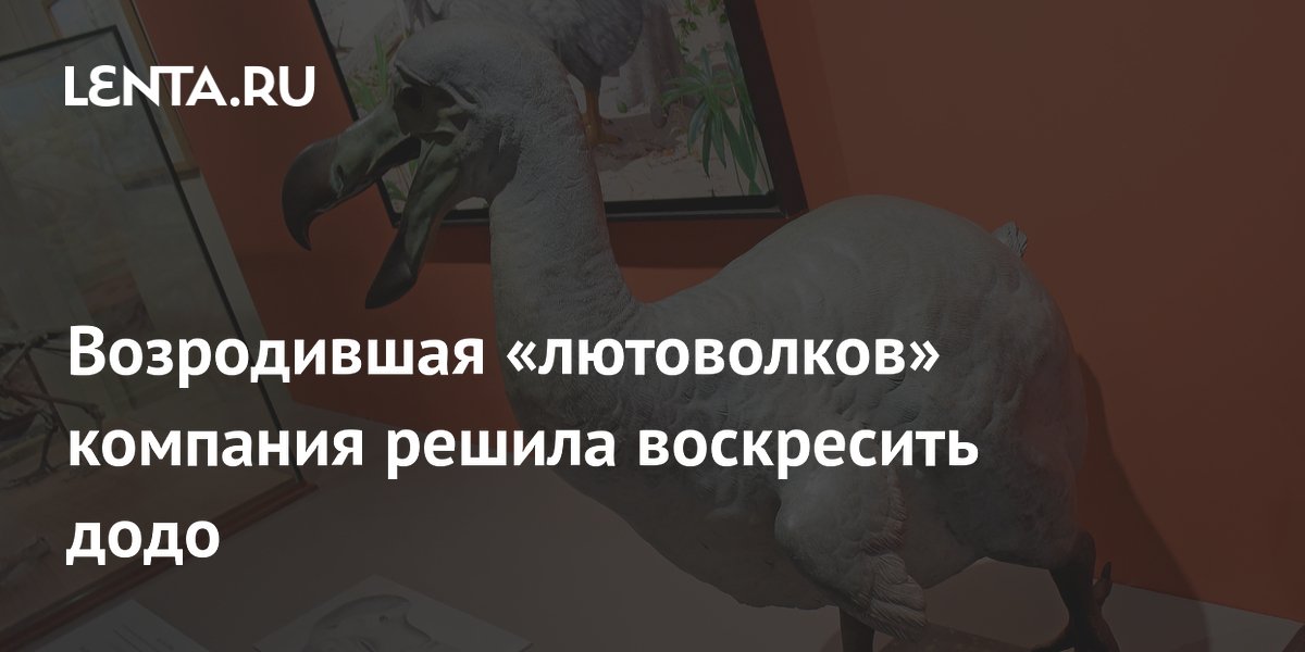 Preview Colossal Biosciences планирует возродить додо вслед за «лютоволками»