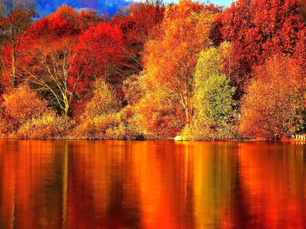 Preview Золотая осень в Томске: Калейдоскоп Красок и Завораживающие Пейзажи