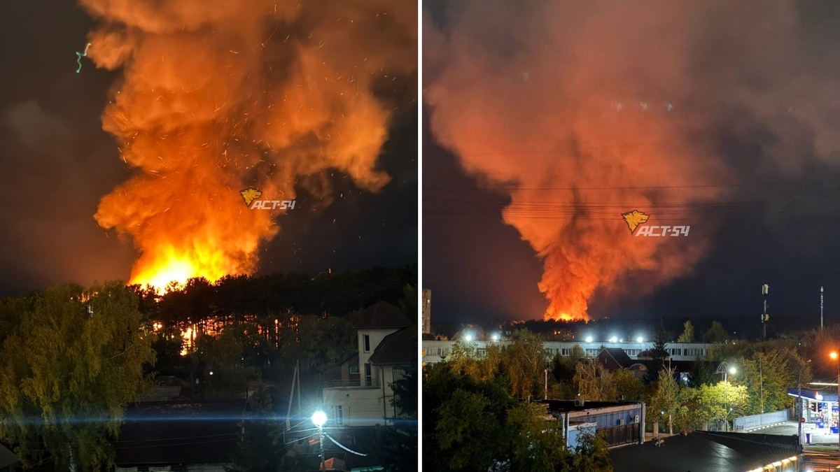 Preview Опубликованы последствия крупного пожара в Новосибирском зоопарке