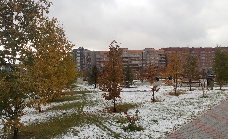 Preview Первый снег выпал в пригородах Красноярска: самые яркие фото