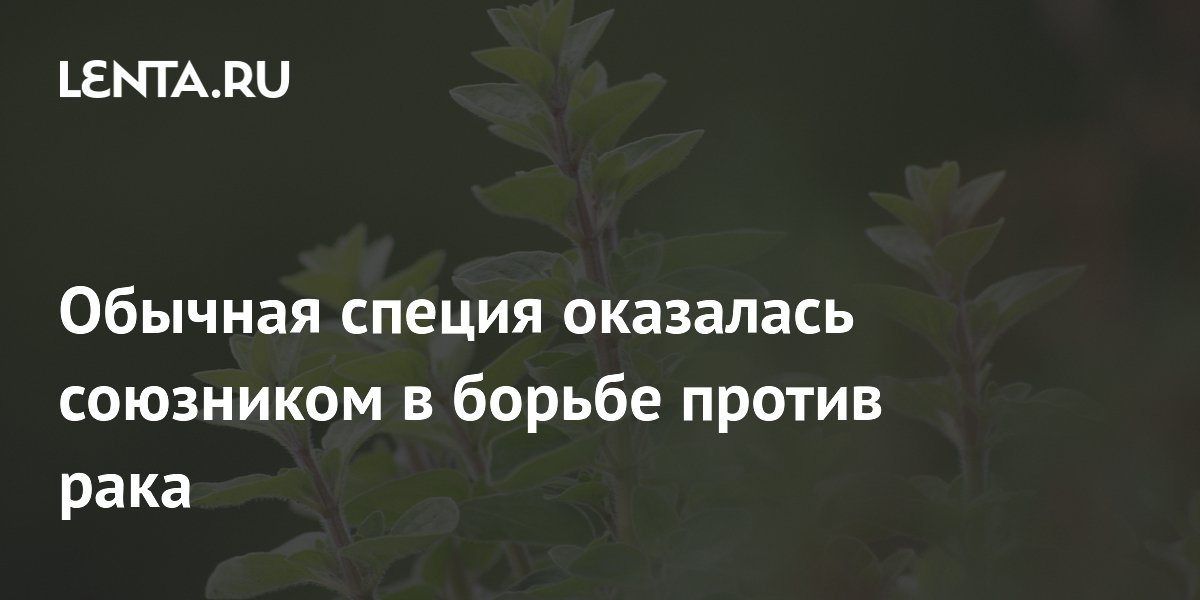 Preview Обычная специя оказалась союзником в борьбе против рака