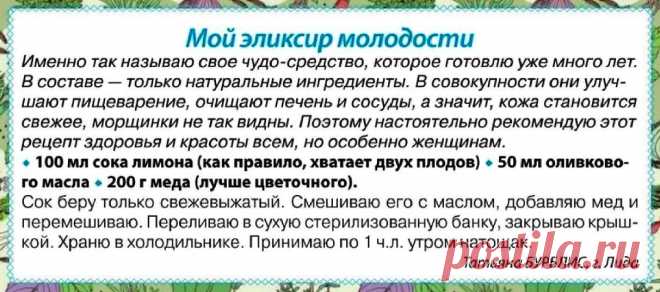 Preview Устойчивые Социальные Связи: Неожиданный Эликсир Молодости