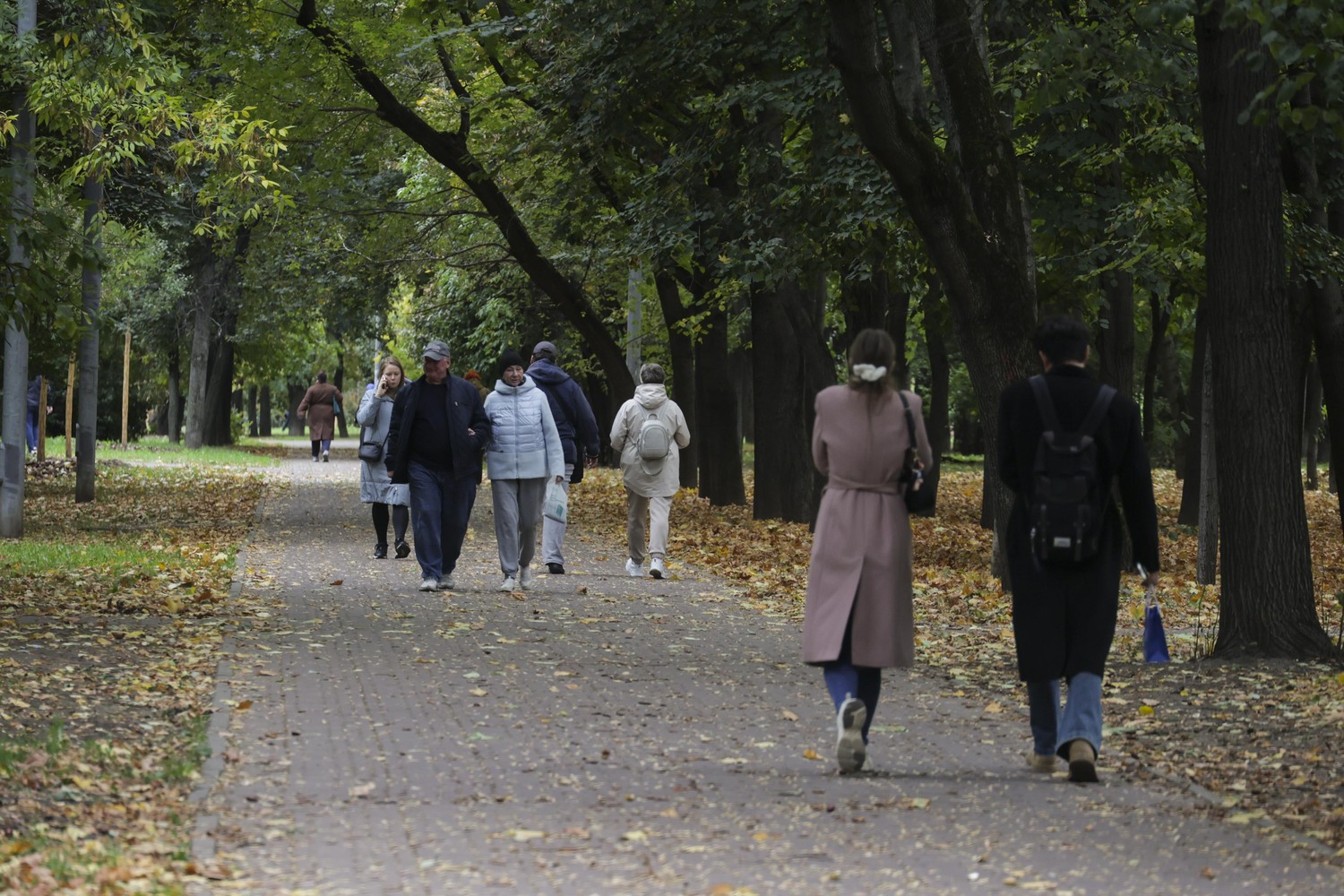 Preview Как собирали яблоки в Коломенском: фоторепортаж