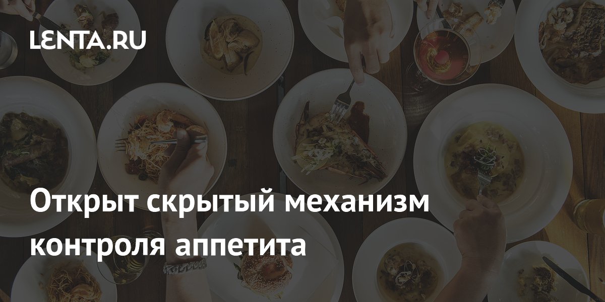 Preview Новое открытие: Белок MRAP2 управляет аппетитом