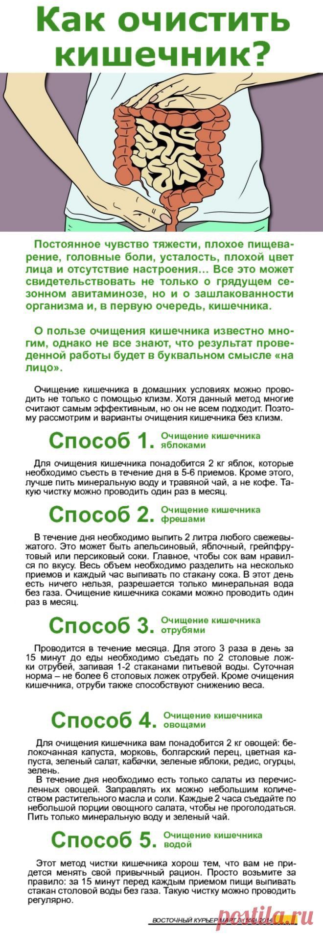 Preview Открыт способ ускорить восстановление кишечника