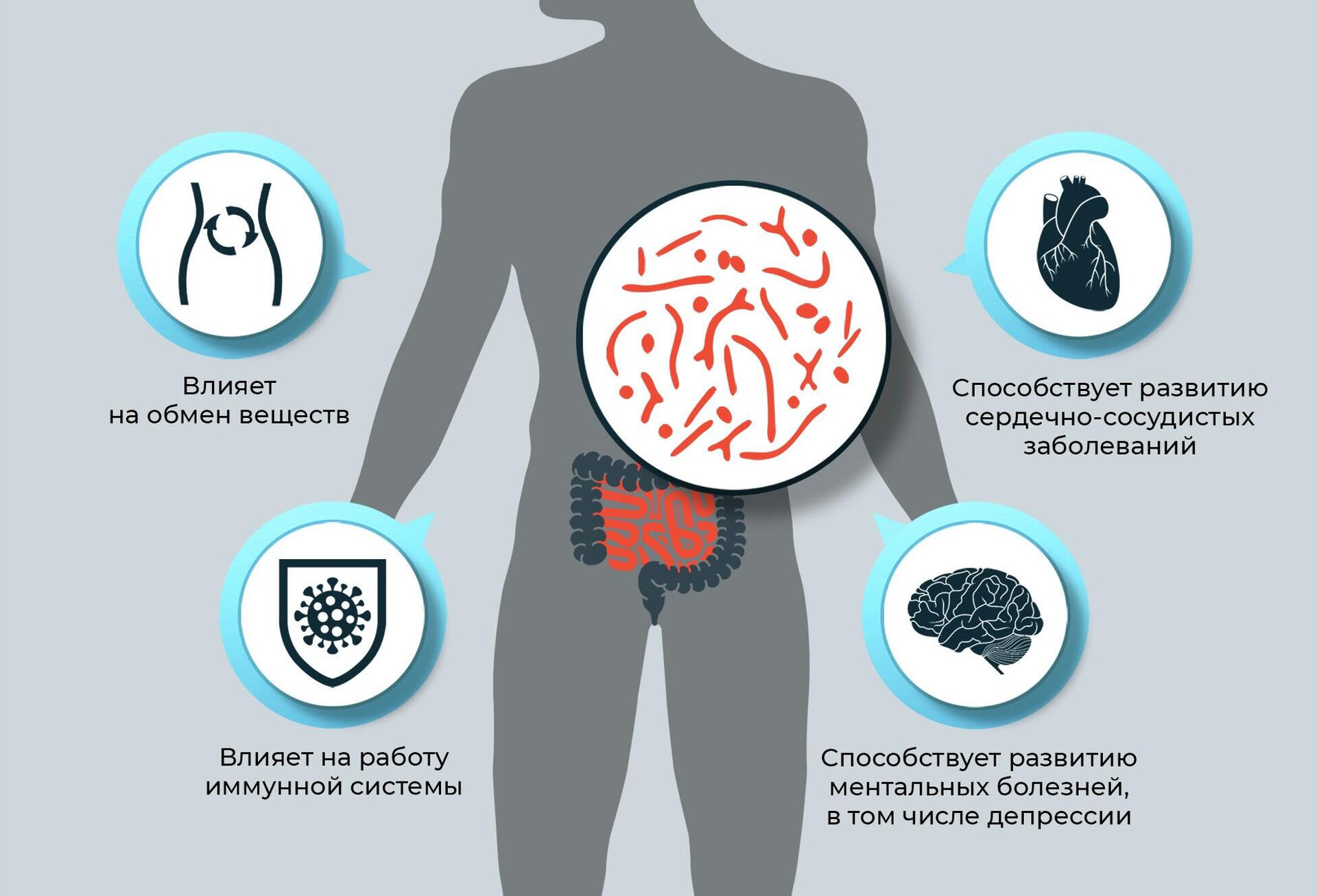 Preview Неожиданное влияние микропластика на микрофлору кишечника