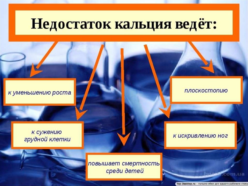 Preview Нехватка кальция: скрытая угроза кардиореспираторной выносливости
