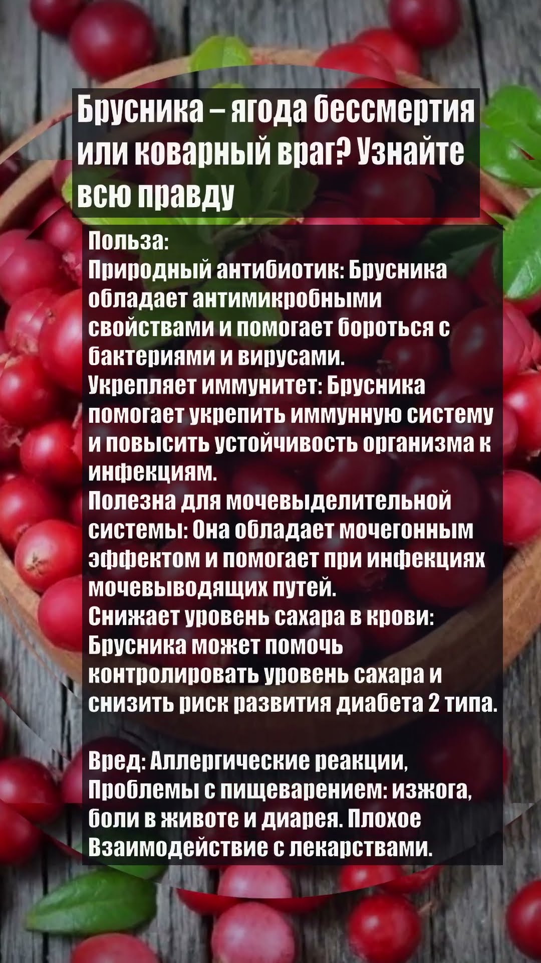 Preview Неожиданная польза брусники: Защита от инфекций без антибиотиков