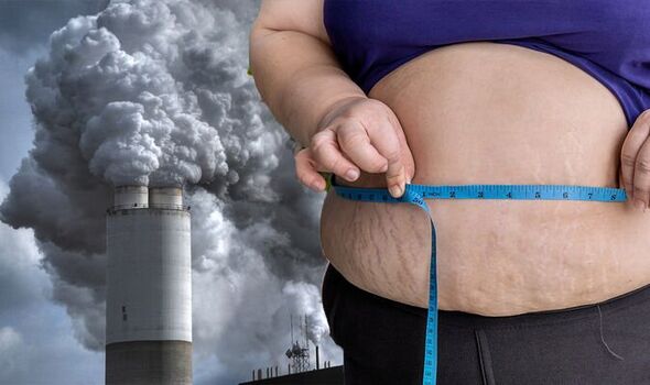 Preview Загрязнение Воздуха: Неожиданная Причина Ожирения