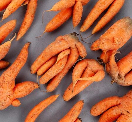 Морковь: обычный овощ с необычным противораковым потенциалом