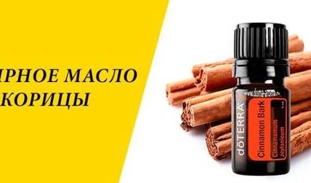 Эфирное масло корицы: естественный метод борьбы с порчей продуктов