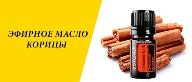 Preview Эфирное масло корицы: естественный метод борьбы с порчей продуктов