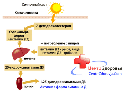 Preview Неожиданное открытие: витамин D3 защищает мозг от старения и болезней