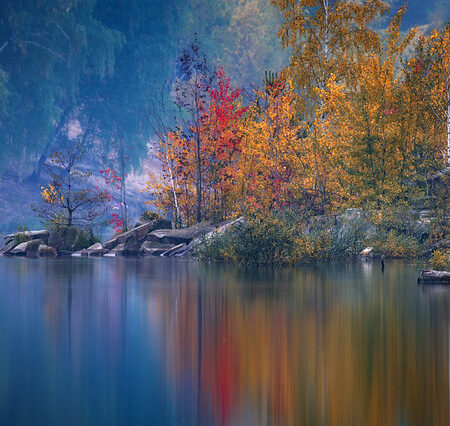 Великолепная осень в Подмосковье: Палитра красок от природы