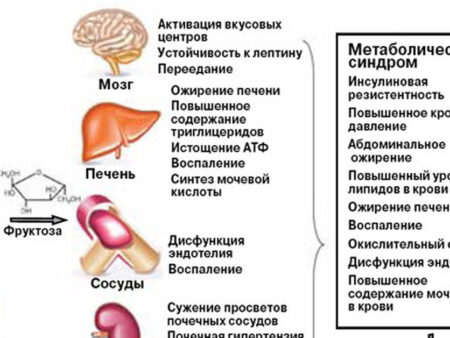 Скрытая причина ожирения печени и диабета: неожиданная роль мутаций в клетках крови