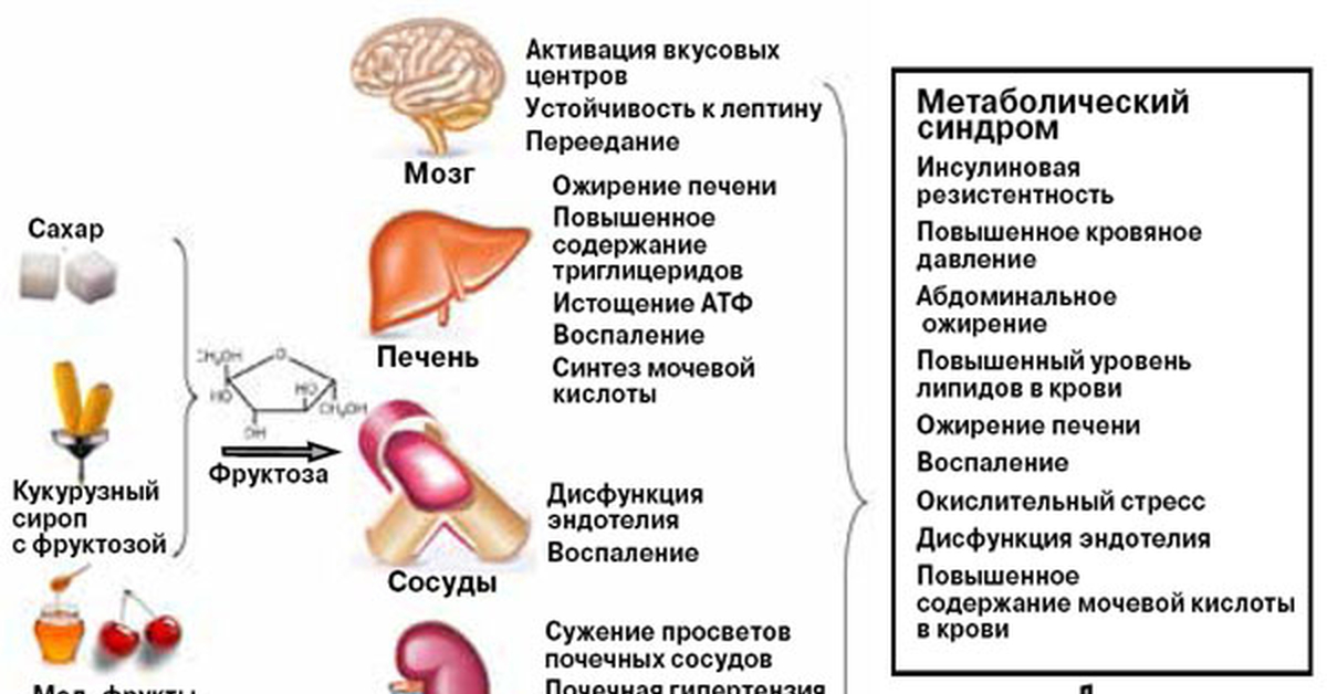 Preview Скрытая причина ожирения печени и диабета: неожиданная роль мутаций в клетках крови