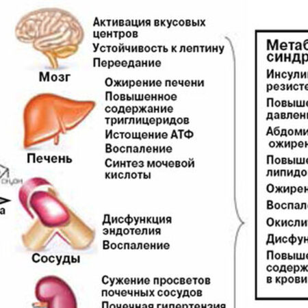 Скрытая причина ожирения печени и диабета: роль мутаций в клетках крови
