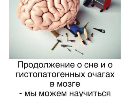 Новый признак ускоренного старения мозга обнаружен: связь с тревожностью