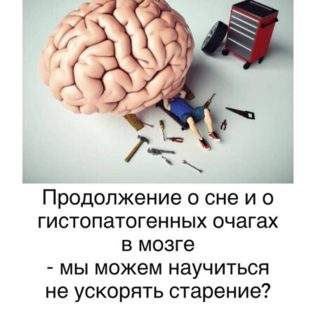 Новый признак ускоренного старения мозга обнаружен: связь с тревожностью