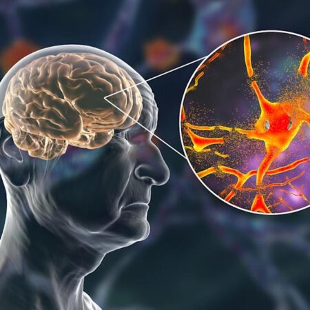 Новое открытие: Биомаркер раннего старения мозга связан с тревожностью