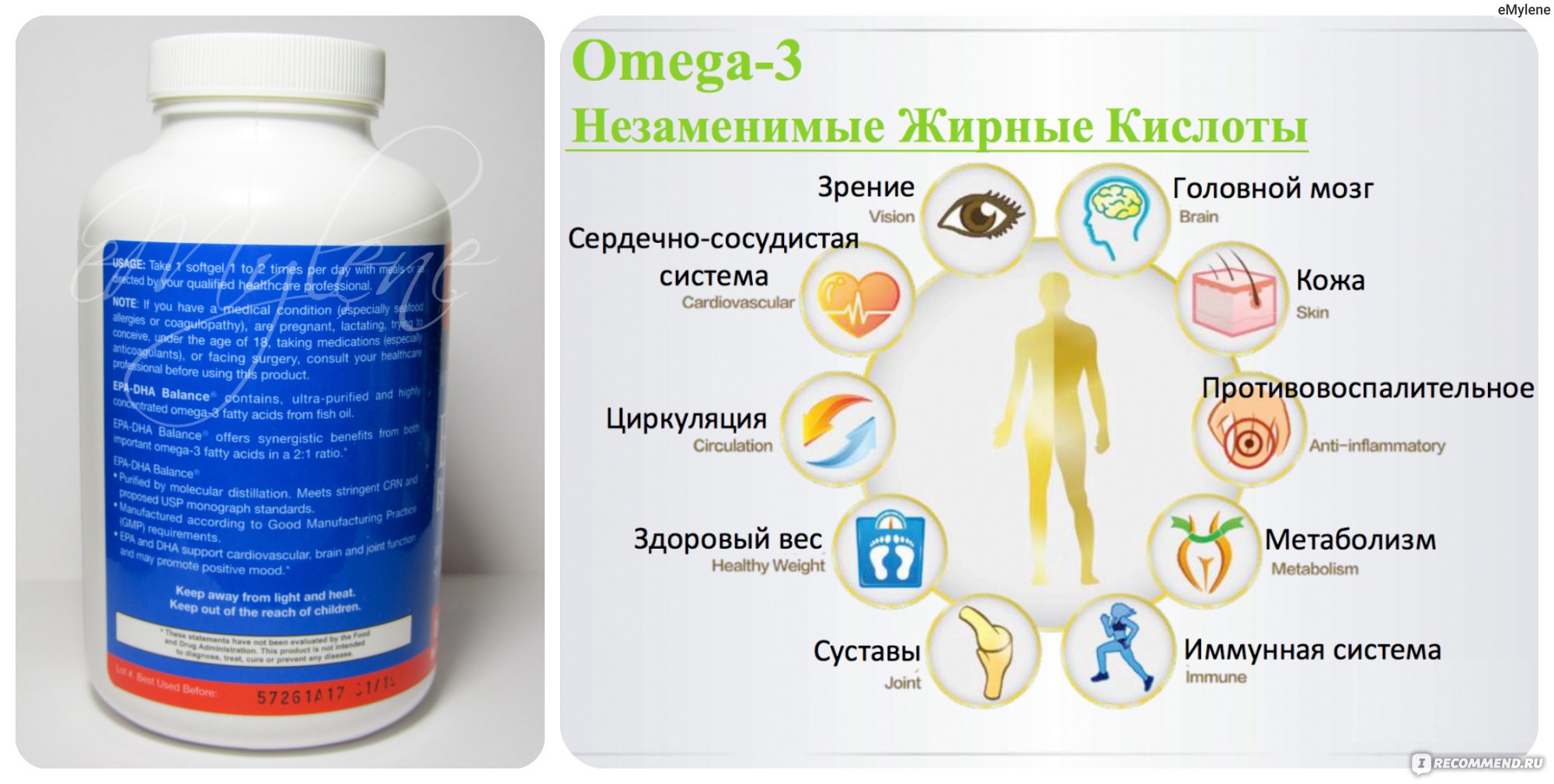 Preview Омега-3 для пожилых: как жирные кислоты поддерживают здоровье мозга после 60